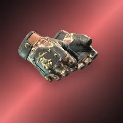 Bloodhound Gloves | Snakebite | Закалённое в боях