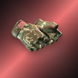 Bloodhound Gloves | Guerrilla | Закалённое в боях