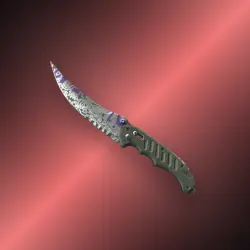 Flip Knife | Freehand | Поношенное