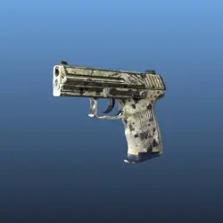 P2000 | Granite Marbleized (Well-Worn)