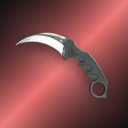StatTrak Karambit