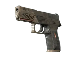 P250 | Bullfrog (Minimal Wear)