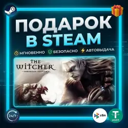 The Witcher: Enhanced Edition Director's Cut | Steam | Gift | 24/7 Autodelivery