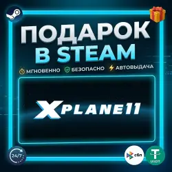 X-Plane 11 | Steam | Gift | 24/7 Autodelivery