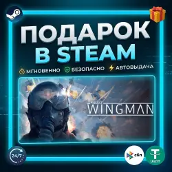 Project Wingman | Steam | Gift | 24/7 Автодоставка