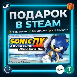 Sonic Adventure DX | Steam | Gift | 24/7 Автодоставка