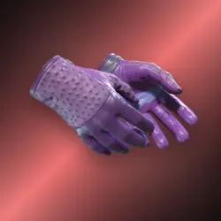 Driver Gloves | Plum Quill | После полевых испытаний