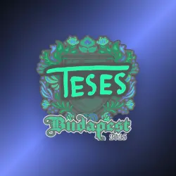 Sticker | TeSeS | Budapest 2025