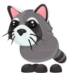 Raccoon | Adopt Me! — Roblox, лот №284439