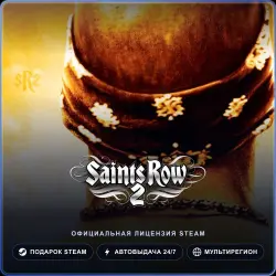 Saints Row 2 (Steam Gift) · РФ и весь мир · Автодоставка 24/7