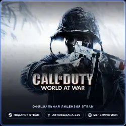 Call of Duty: World at War (Steam Gift) · Весь мир · Автодоставка 24/7