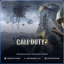 Call of Duty 2 (Steam Gift) · Весь мир · Автодоставка 24/7