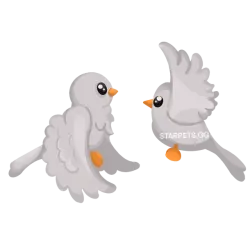 Turtle Doves | Adopt Me! — Roblox, лот №287237