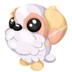 Shih Tzu | Adopt Me! — Roblox, лот №287593