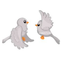 Turtle Doves | Adopt Me! — Roblox, лот №287600