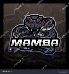 Мужские аккаунты Mamba | Проверенные временем | Долговечные аккаунты