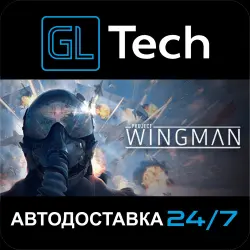 Project Wingman АВТОДОСТАВКА Steam GIFT