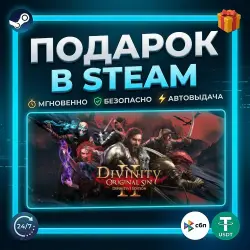 Divinity: Original Sin 2 - Definitive Edition | Steam | Gift | 24/7 Autodelivery