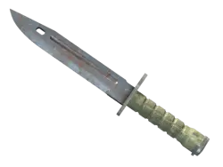 Bayonet | Rust Coat (Battle-Scarred)