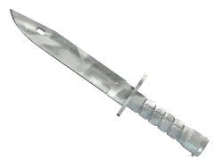 Bayonet | Urban Masked (Field-Tested)