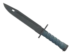Bayonet | Night (Field-Tested)