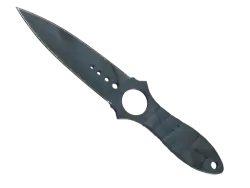 Skeleton Knife | Night Stripe (Battle-Scarred)