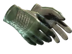 Driver Gloves | Racing Green (Well-Worn)