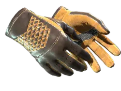 Driver Gloves | Overtake (Well-Worn)