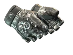 Broken Fang Gloves | Unhinged (Well-Worn)