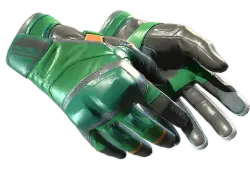 Moto Gloves | Turtle (Field-Tested)