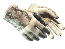Driver Gloves | King Snake (Battle-Scarred)