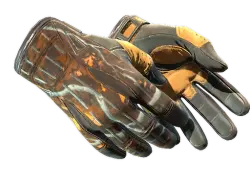 Sport Gloves | Big Game (Field-Tested)