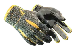 Sport Gloves | Omega (Field-Tested)
