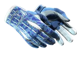 Sport Gloves | Amphibious (Battle-Scarred)