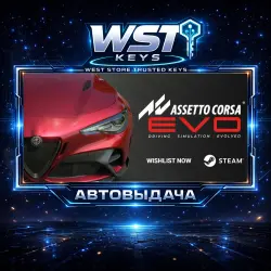 Assetto Corsa EVO • Ключ Steam (Россия, Турция и СНГ без TJ, AZ | Автовыдача API)
