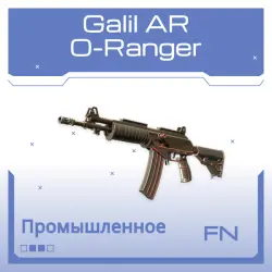 Galil AR | O-Ranger | Прямо с завода
