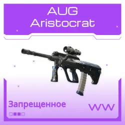 AUG | Aristocrat | Поношенное