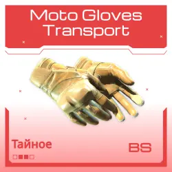 Moto Gloves | Transport | Закалённое в боях