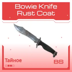 Bowie Knife | Rust Coat | Закалённое в боях
