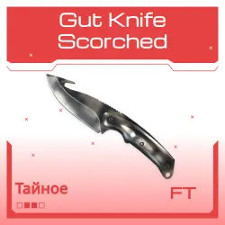 Gut Knife | Scorched | После полевых испытаний