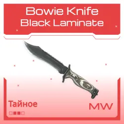 Bowie Knife | Black Laminate | Немного поношенное