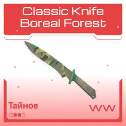 Classic Knife | Boreal Forest | Поношенное