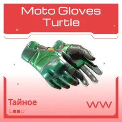 Moto Gloves | Turtle | Поношенное