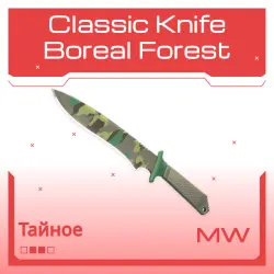 Classic Knife | Boreal Forest | Немного поношенное