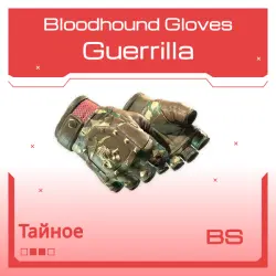 Bloodhound Gloves | Guerrilla | Закалённое в боях