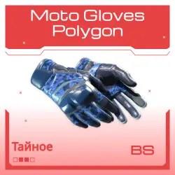 Moto Gloves | Polygon | Закалённое в боях