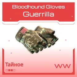 Bloodhound Gloves | Guerrilla | Поношенное