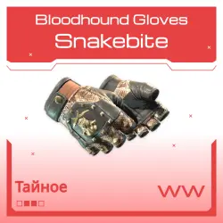 Bloodhound Gloves | Snakebite | Поношенное