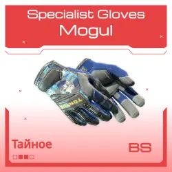 Specialist Gloves | Mogul | Закалённое в боях