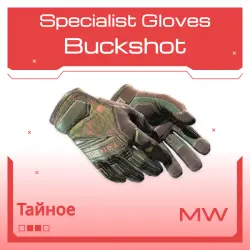 Specialist Gloves | Buckshot | Немного поношенное